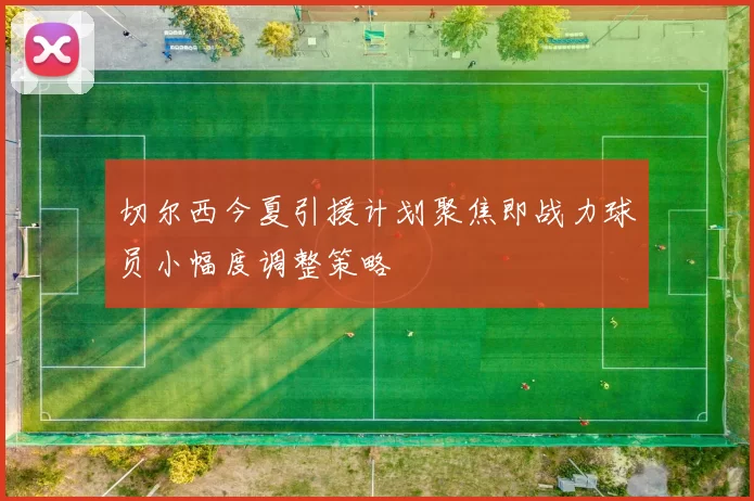 切尔西今夏引援计划聚焦即战力球员小幅度调整策略